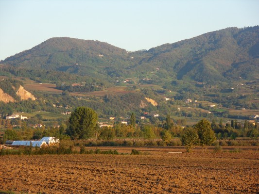 Paesaggi dei Colli Euganei
