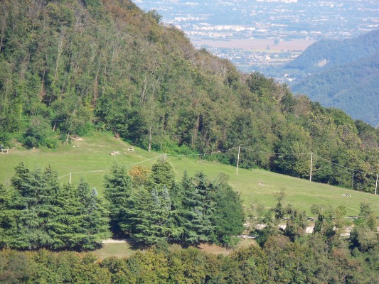 Paesaggi dei Colli Euganei
