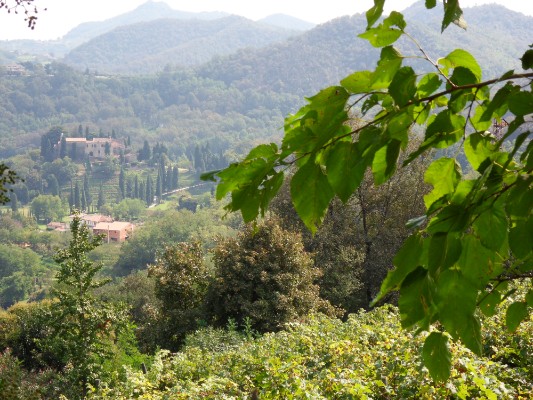 Paesaggi dei Colli Euganei