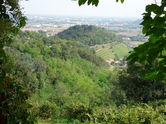 Paesaggi dei Colli Euganei