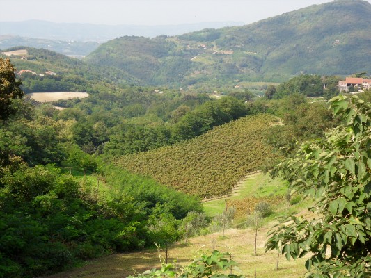 Paesaggi dei Colli Euganei