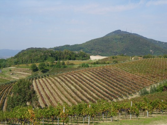Paesaggi dei Colli Euganei