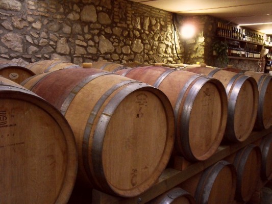 Cantine e vini