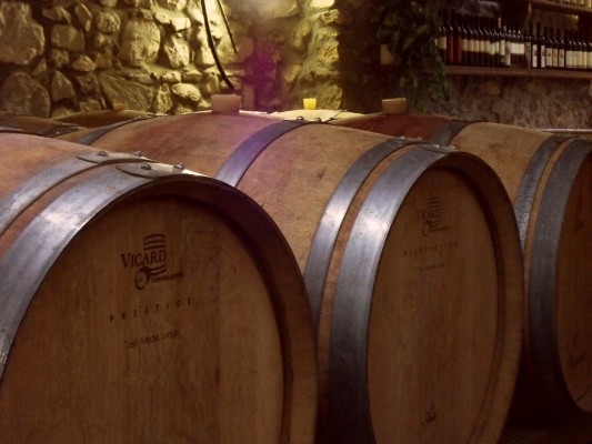 Cantine e vini
