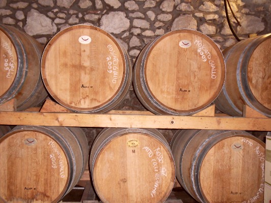 Cantine e vini