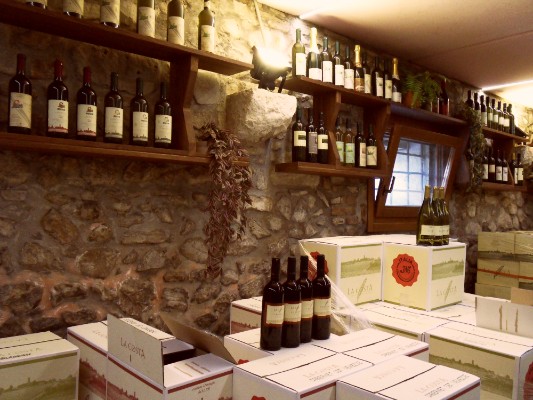 Cantine e vini